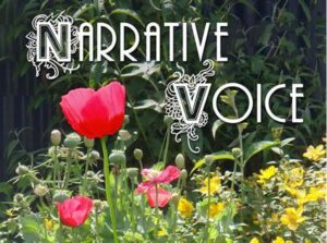 Enhancing Narrative Voice Realism