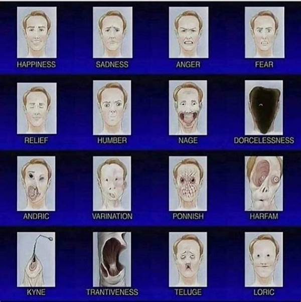 Manipulating Reader Emotions In Horror