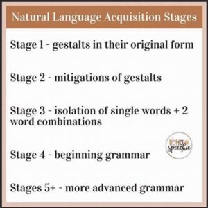 Natural Language Acquisition Strategies