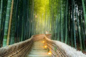Strategies For Retaining Reader Loyalty