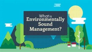 Automated Sound Environment Management