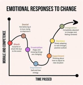 Emotional Progression In Literature