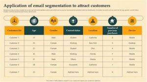 “segmented Email Audience Analytics Tools”