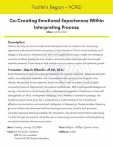 Interpreting Multifaceted Emotional Experiences