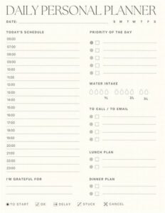 Organized Novelist Daily Plan